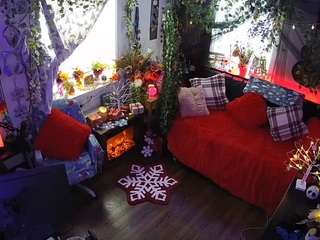 voyeurcam-veccasalt-01