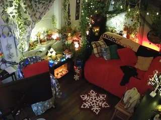 voyeurcam-veccasalt-01