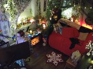 voyeurcam-veccasalt-01's CamSoda show and profile