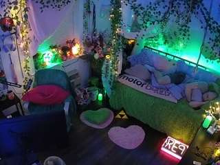 voyeurcam veccasalt 01