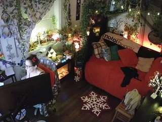 voyeurcam-veccasalt-01