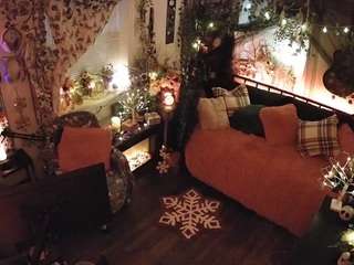 voyeurcam-veccasalt-01's CamSoda show and profile