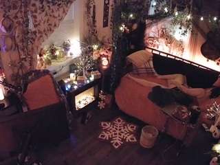 voyeurcam-veccasalt-01