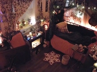 voyeurcam-veccasalt-01