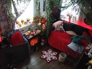 voyeurcam veccasalt 01