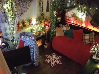 voyeurcam-veccasalt-01