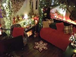 voyeurcam-veccasalt-01