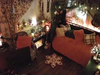 voyeurcam-veccasalt-01