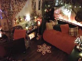 voyeurcam-veccasalt-01 chat