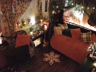 voyeurcam-veccasalt-01's CamSoda show and profile