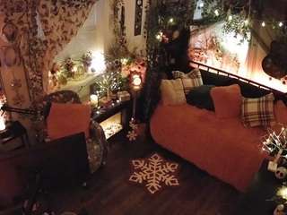 voyeurcam-veccasalt-01's CamSoda show and profile