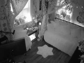 voyeurcam-veccasalt-01 chat