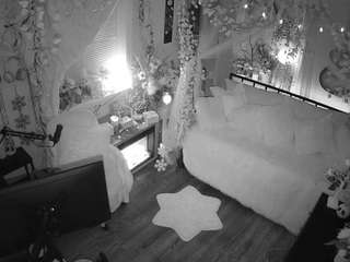 voyeurcam-veccasalt-01