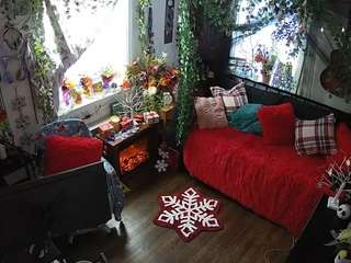 voyeurcam veccasalt 01