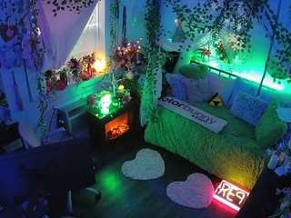 voyeurcam veccasalt 01