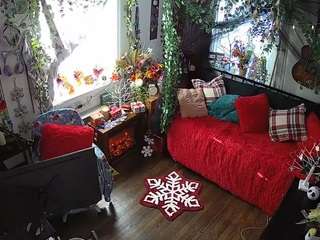 voyeurcam veccasalt 01