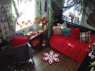 voyeurcam-veccasalt-01's CamSoda show and profile