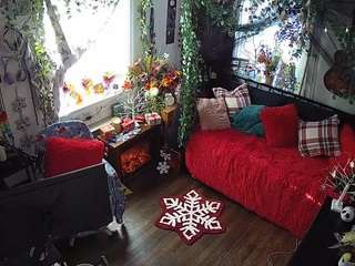 voyeurcam veccasalt 01