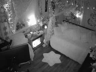 voyeurcam veccasalt 01