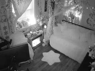 voyeurcam veccasalt 01