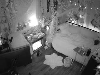 voyeurcam-veccasalt-01