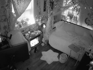 voyeurcam-veccas... Live Webcam on CamSoda