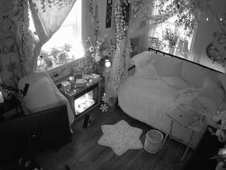 voyeurcam veccasalt 01