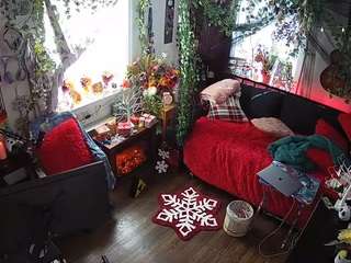 voyeurcam veccasalt 01