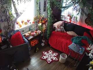 voyeurcam veccasalt 01