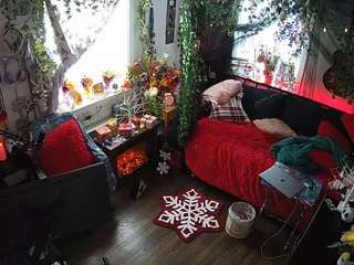 voyeurcam veccasalt 01