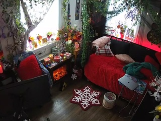 voyeurcam-veccasalt-01's CamSoda show and profile