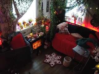 voyeurcam veccasalt 01