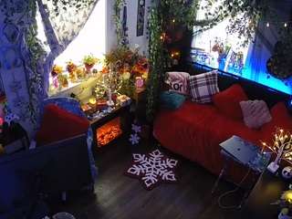 voyeurcam-veccasalt-01 chat