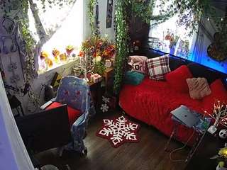 voyeurcam-veccasalt-01 chat