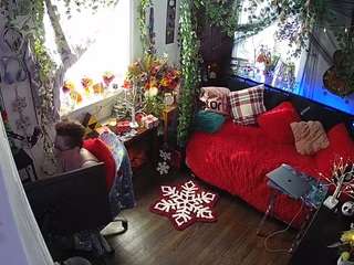 voyeurcam veccasalt 01