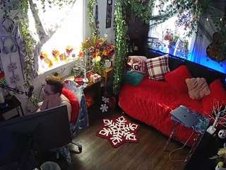 voyeurcam veccasalt 01