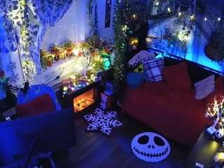 voyeurcam veccasalt 01