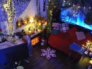 voyeurcam veccasalt 01