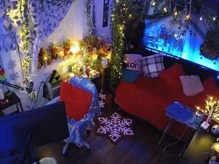 voyeurcam veccasalt 01