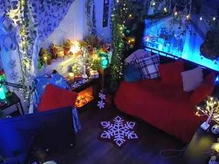 voyeurcam veccasalt 01