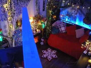 voyeurcam-veccasalt-01