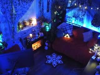 voyeurcam-veccasalt-01