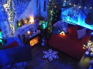 voyeurcam veccasalt 01