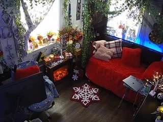 voyeurcam veccasalt 01