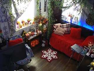 voyeurcam-veccasalt-01 chat