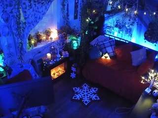 voyeurcam-veccasalt-01