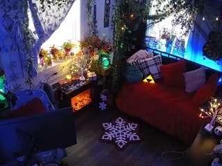 voyeurcam-veccasalt-01