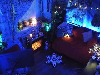 voyeurcam-veccasalt-01