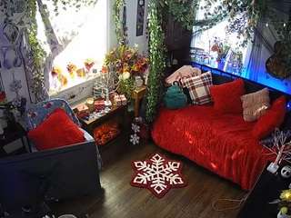 voyeurcam-veccasalt-01