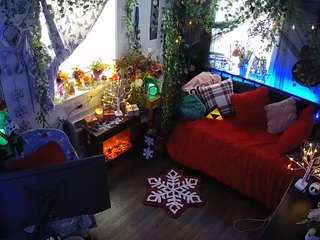 voyeurcam-veccasalt-01